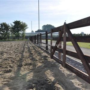 rijbak in rond door rond